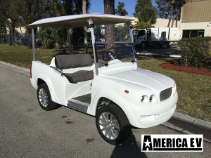 ev luxe golf cart, america ev ev luxe, luxury golf cart